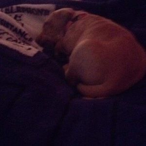 Meet your Posher, Aj